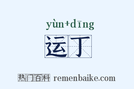运丁是什么意思的图片